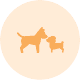 Best for Pregnant/Lactating Cats Best for Pregnant/Lactating Cats