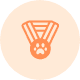 Best Sifting Tool Best Sifting Tool