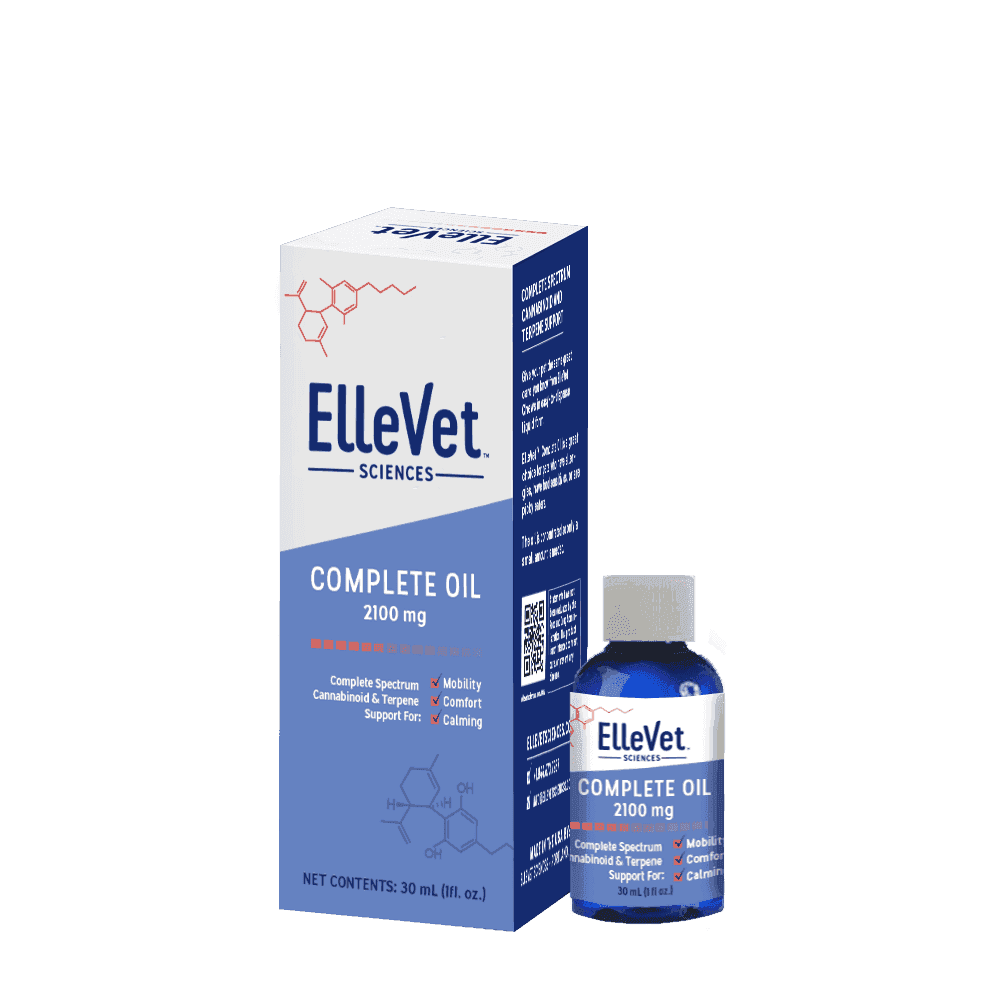 Ellevet Hemp CBD CBDA Oil For Dogs 30 mL Ellevet Hemp CBD CBDA Oil For Dogs 30 mL