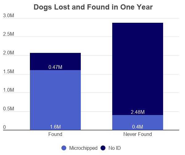 cost-to-microchip-a-dog-or-cat-2021-price-analysis