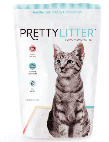 best cat litter for allergy sufferers