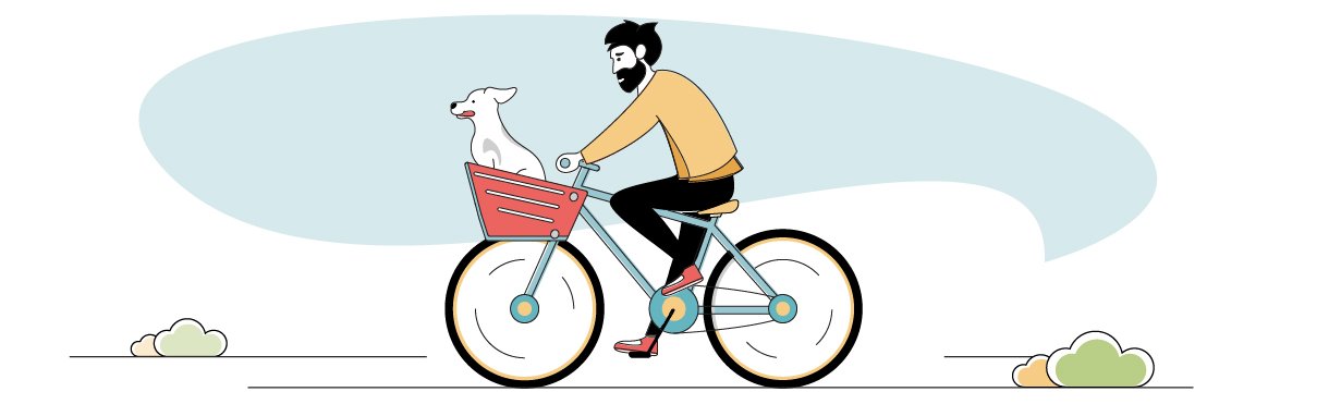 Best Bike Carrier for Pets