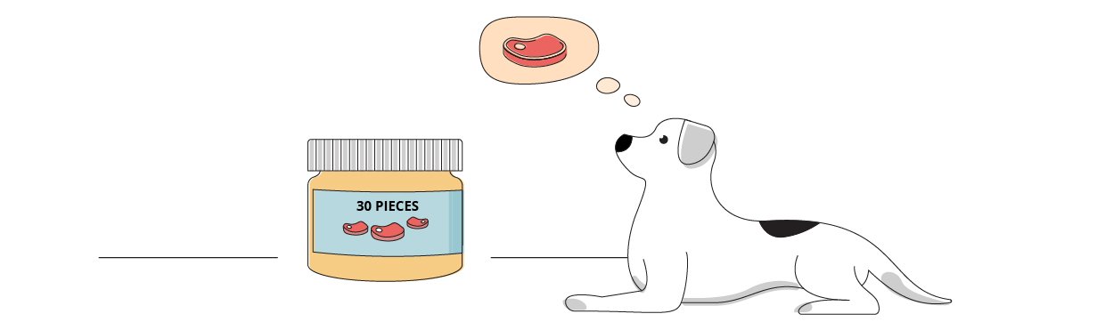 Best CBD Treats for Dogs