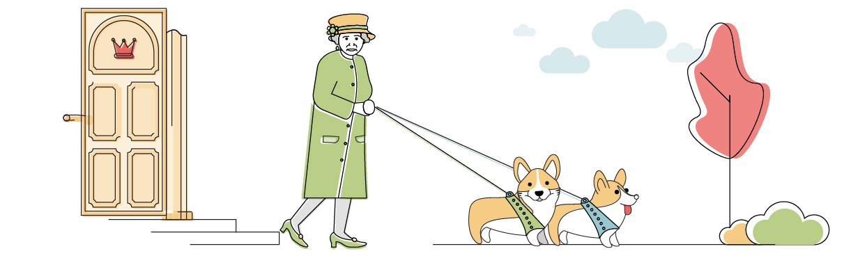 journey dog harness