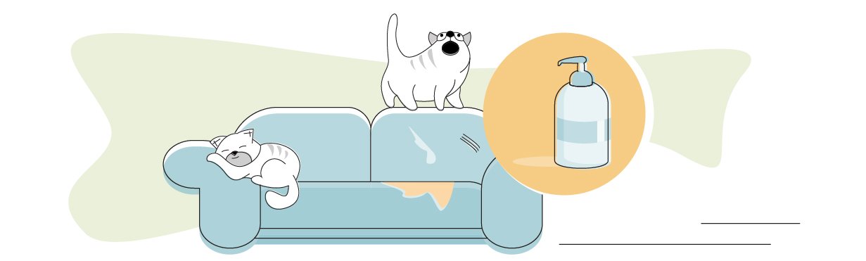 professional pet stain remover