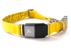 gps dog training collar reviews