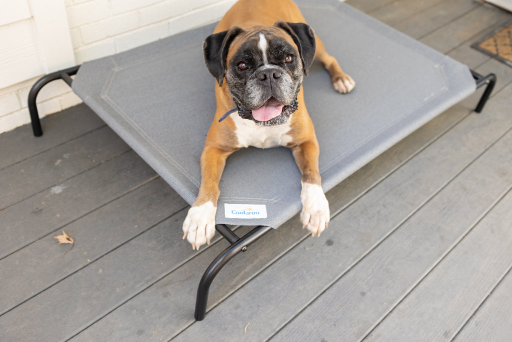 Gorilla Ballistic Tough Round Orthopedic Dog Bed™