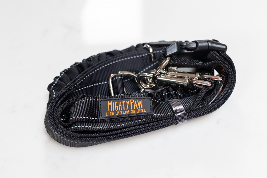 mighty paw dog leash