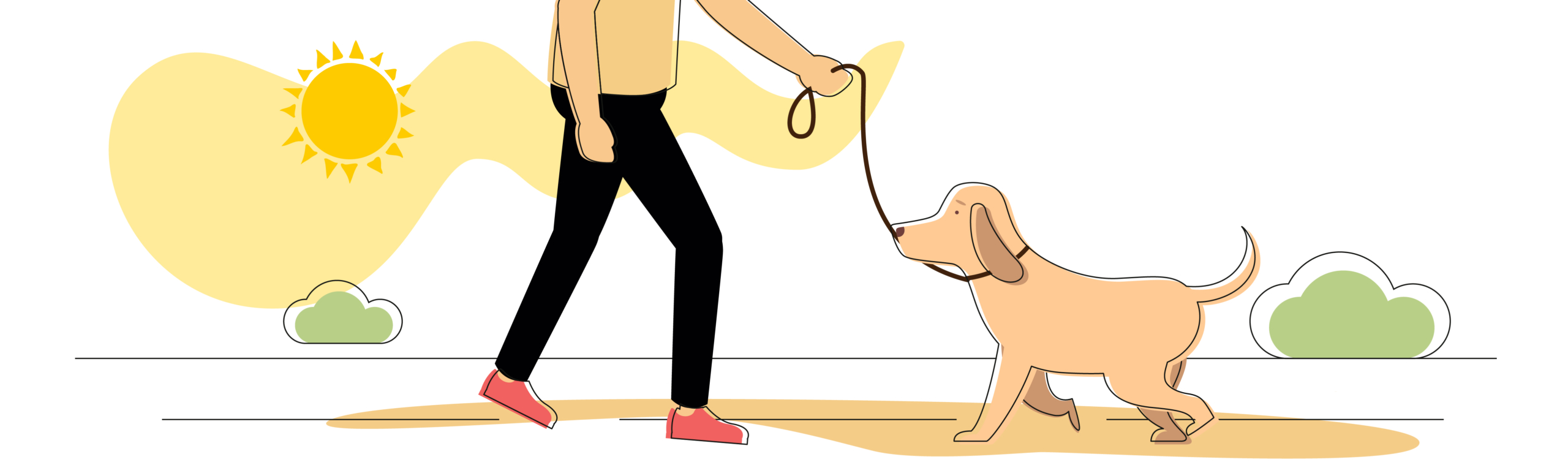 How to leash train a dog