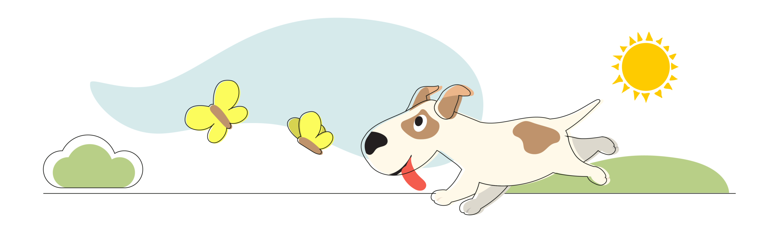 Mental stimulation for dogs: 5 ideas 
