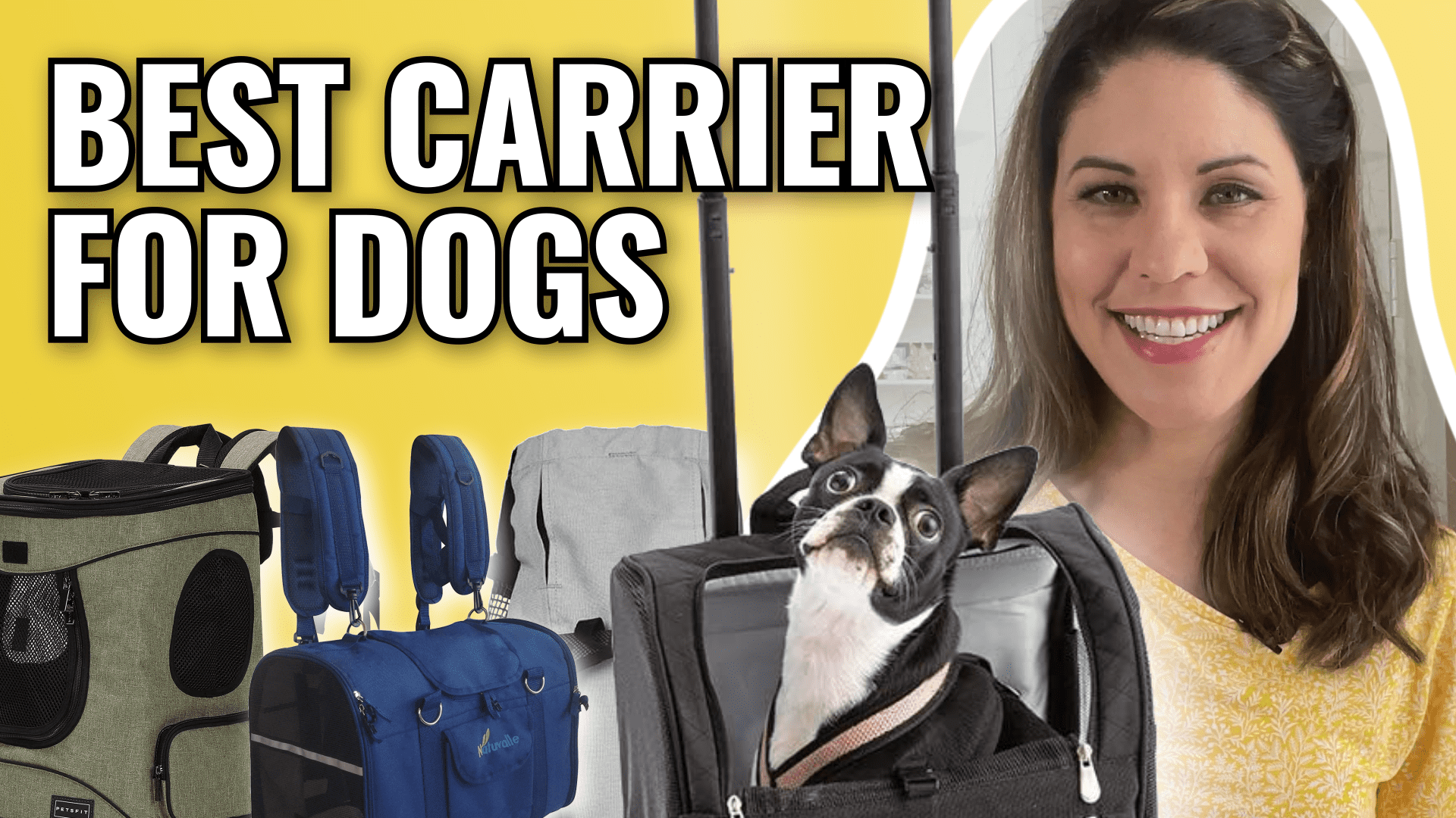 The 7 Best Dog Backpack Carriers of 2024, Tested and Reviewed