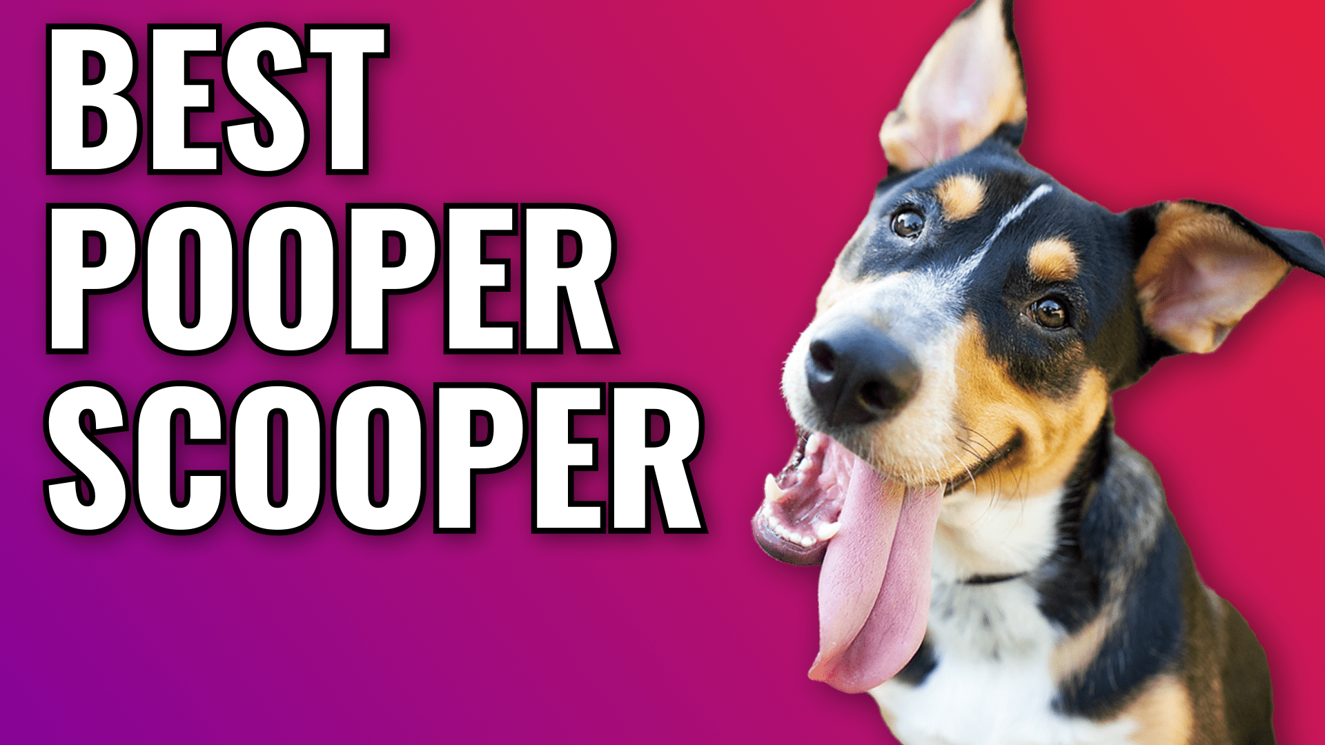 Best pooper scooper sales for big dogs