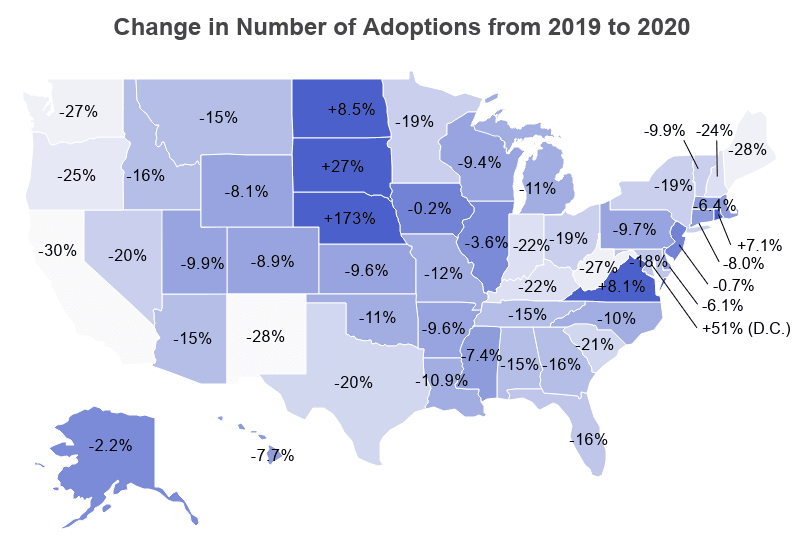 Pet Adoption Statistics [2022]: Rates of Dog & Cat Adoptions