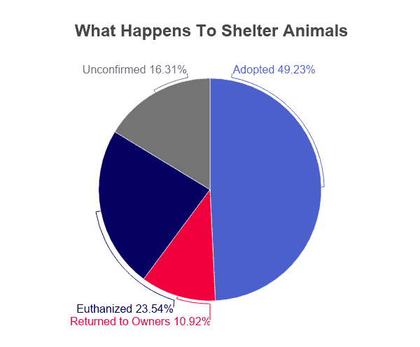 Animal Shelter Statistics 2021 Facts Data By Year   Allshelter Animals Fates 