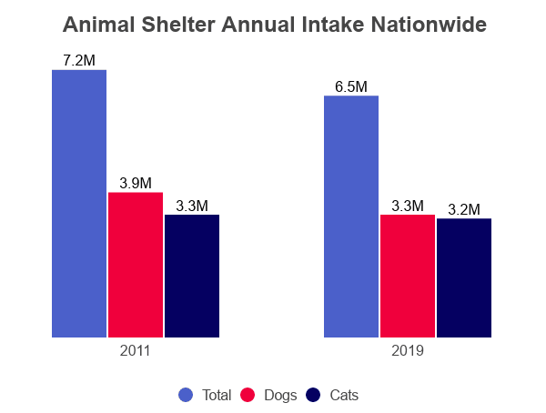 overflow in animal shelter in san antonio