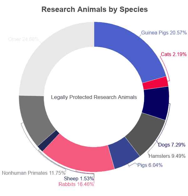 Animal Testing Statistics [2021]: Facts & Trends by Year