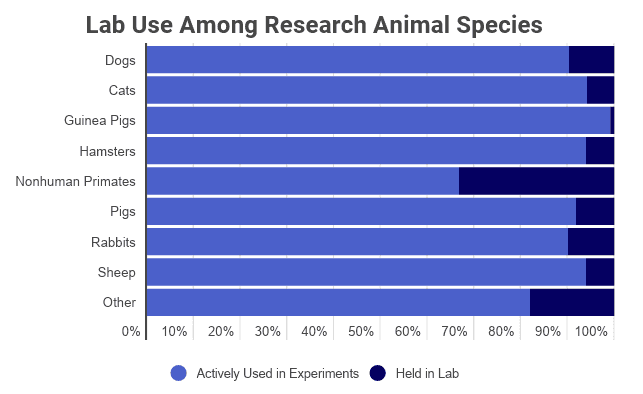 Animal Testing Statistics [2022]: Facts & Trends by Year