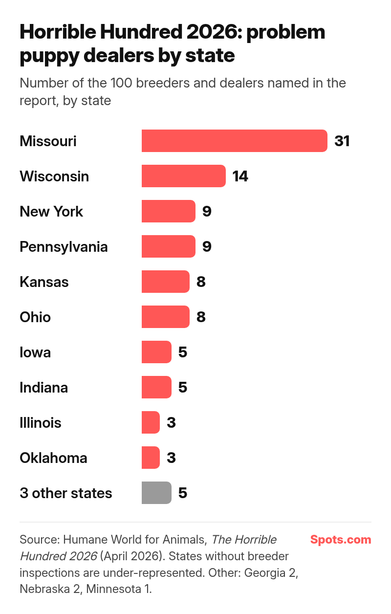 Bar chart of the Horrible Hundred 2026 report by state: Missouri 31, Wisconsin 14, New York 9, Pennsylvania 9, Kansas 8, Ohio 8, Iowa 5, Indiana 5, Illinois 3, Oklahoma 3, and 5 in three other states (Georgia 2, Nebraska 2, Minnesota 1).