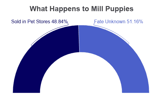 can puppy mills be akc registered