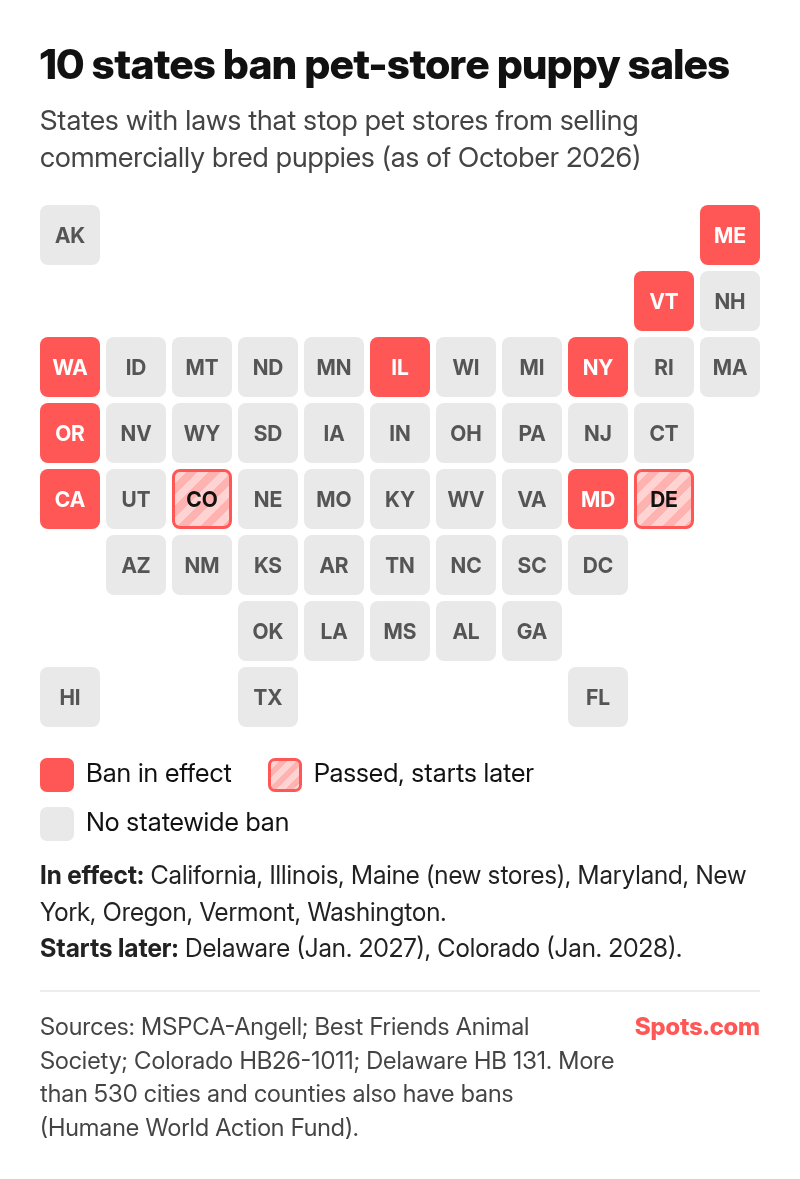 U.S. tile map of the 10 states that ban pet-store puppy sales. In effect: California, Illinois, Maine (new stores), Maryland, New York, Oregon, Vermont and Washington. Passed but starting later: Delaware (January 2027) and Colorado (January 2028).
