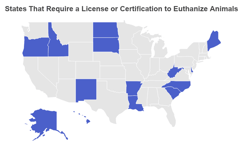 Animal Euthanasia Statistics 2022 : Shelter Data by Year