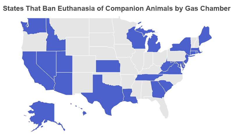 Animal Euthanasia Statistics 2022 : Shelter Data by Year