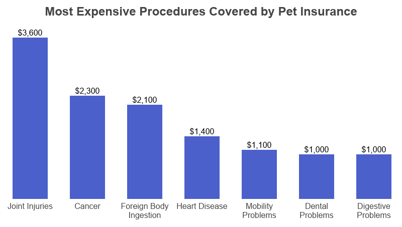 Bar Graph: Most Expensive Procedures Covered by Pet Insurance