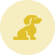 Best for Small Dogs Best for Small Dogs
