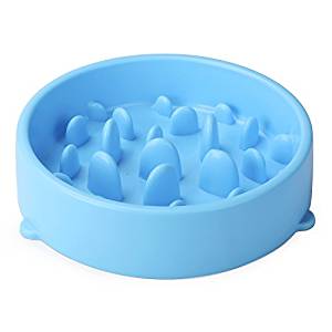 JASGOOD Dog Feeder Slow Eating Pet Bowl JASGOOD Dog Feeder Slow Eating Pet Bowl