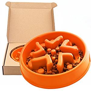 Simply Pets Online Slow Feed Dog Bowl Simply Pets Online Slow Feed Dog Bowl