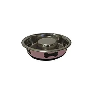 Boomer N Chaser Slow Feeder Spill Proof Pet Bowl Boomer N Chaser Slow Feeder Spill Proof Pet Bowl