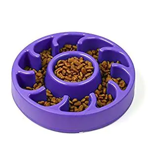 Foir Anti-Gulping Fun Feeder Slow Feed Foir Anti-Gulping Fun Feeder Slow Feed