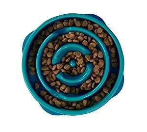 Outward Hound Fun Feeder Slow Feed Bowl Outward Hound Fun Feeder Slow Feed Bowl