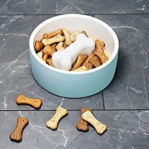 Paikka Naturally Cooling Ceramic Food Bowl Paikka Naturally Cooling Ceramic Food Bowl