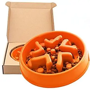 Simply Pets Online Slow Feed Dog Bowl Simply Pets Online Slow Feed Dog Bowl