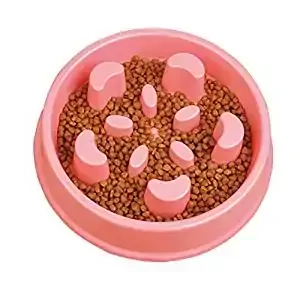 STARUBY Slow Feed Dog Bowl STARUBY Slow Feed Dog Bowl