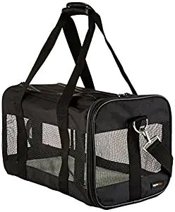 hard sided pet carrier airline approved