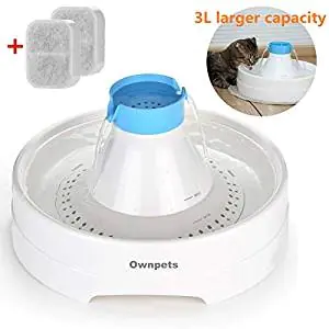 Petmate Stainless Steel Replendish Waterer Petmate Stainless Steel Replendish Waterer