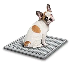 BrilliantPad Self-Cleaning, Automatic Indoor Dog Potty BrilliantPad Self-Cleaning, Automatic Indoor Dog Potty