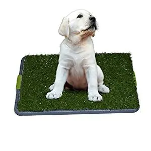 DogCharge Indoor Dog Potty Tray DogCharge Indoor Dog Potty Tray