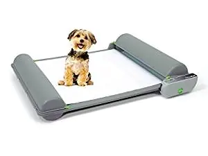 Fresh Patch Disposable Dog Potty with Real Grass Fresh Patch Disposable Dog Potty with Real Grass