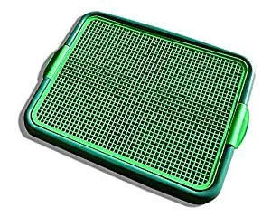 PetSafe Pet Loo Portable Indoor/Outdoor Dog Potty PetSafe Pet Loo Portable Indoor/Outdoor Dog Potty