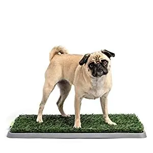 Premium Pet Dog Potty Pee Turf Grass Premium Pet Dog Potty Pee Turf Grass