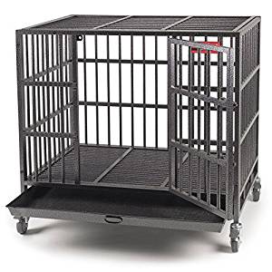 military dog crates