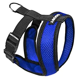2 Hounds Design Freedom No Pull Training Harness 2 Hounds Design Freedom No Pull Training Harness