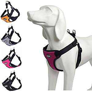 BINGPET Harness BINGPET Harness