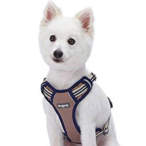 Blueberry Pet Reflective Harness Blueberry Pet Reflective Harness
