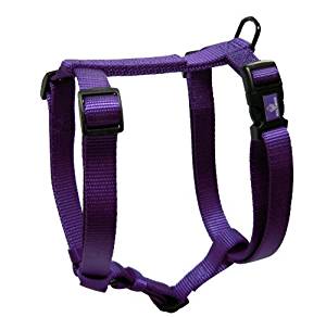 Hamilton Harness Hamilton Harness