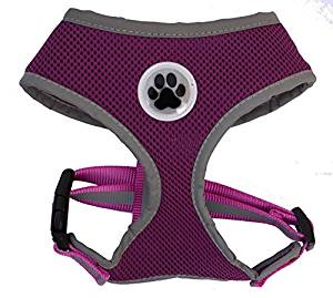 Lanyar Harness Lanyar Harness
