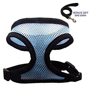 Pet Club Harness Pet Club Harness